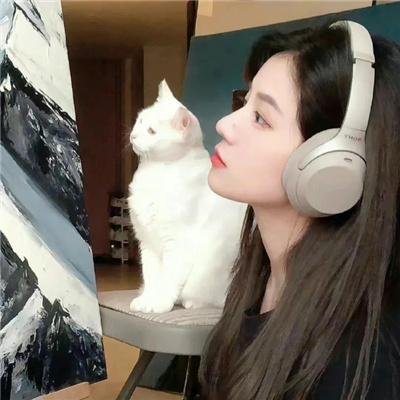 查克拉